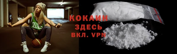 дмт Аркадак