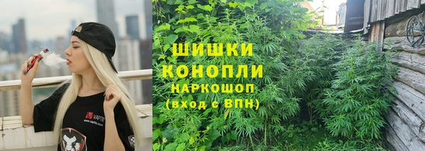 дмт Аркадак
