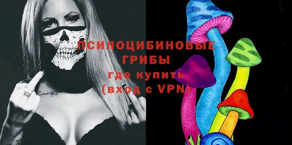 дмт Аркадак