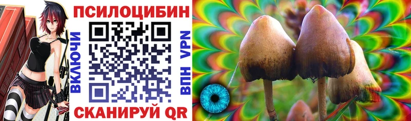Псилоцибиновые грибы прущие грибы  Беслан 